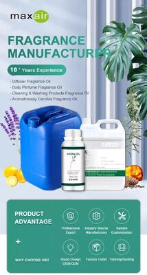 Hot Selling Manufacturer Wholesale Fragrance Oil for Home, Hotel, Office Waterlessaromatherapy Diffuser Essential Oil